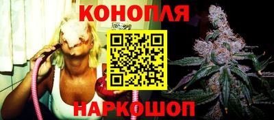 наркотики Кингисепп