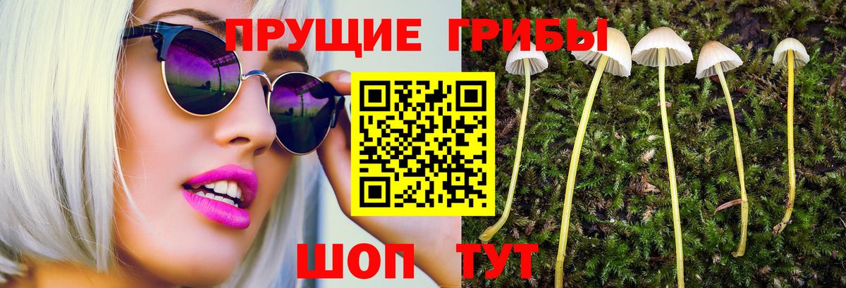 Псилоцибиновые грибы MAGIC MUSHROOMS  Полысаево 